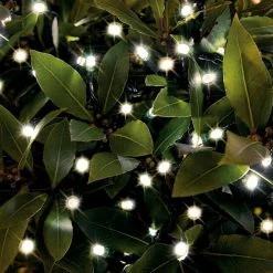 Gazebo Spare Parts Outdoor Lighting - LED String Lights