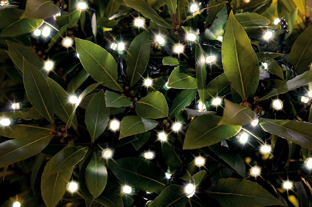 Gazebo Spare Parts Outdoor Lighting - LED String Lights 3 Gazebo Spare Parts Outdoor Lighting - LED String Lights